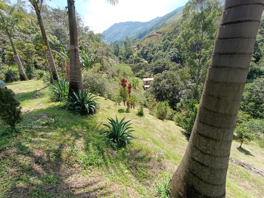 Finca en Rionegro · Llanogrande · Llanogrande — foto 24