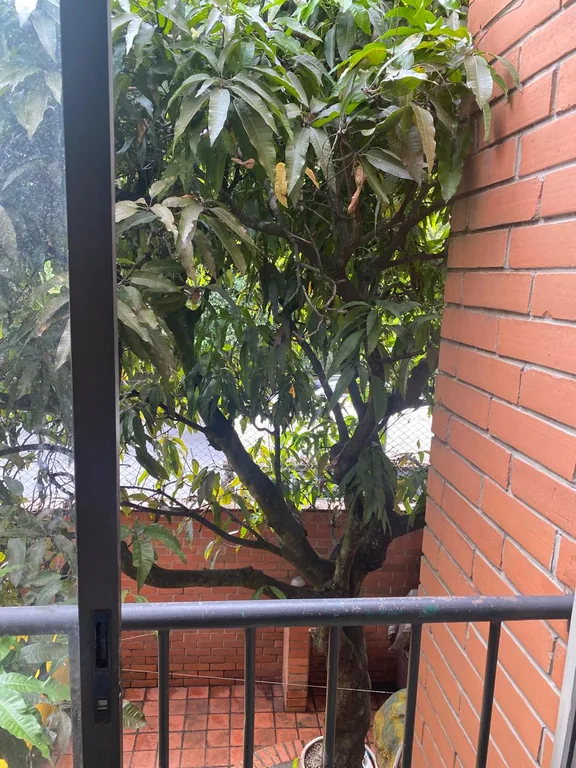 Casa en Envigado — foto 3